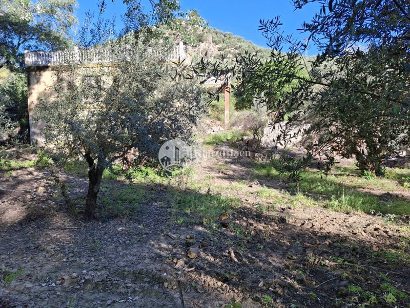 Foto d2e7cc3d-9bb5-4f81-b3ba-8b354394e21a. Finca rústica a Puente Jontoya - Puente de la Sierra - El Arroyo Jaén