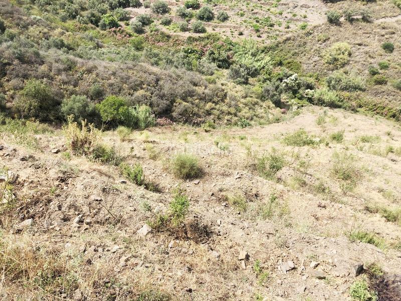 Foto 6e24b0a5-de28-4dd3-8df7-6a0984589d91. Casa en Torrox pueblo Torrox