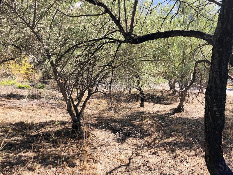 Foto ec2f1cbd-e50b-4512-a4fc-b6ed05bd2f05. Casa a Árchez