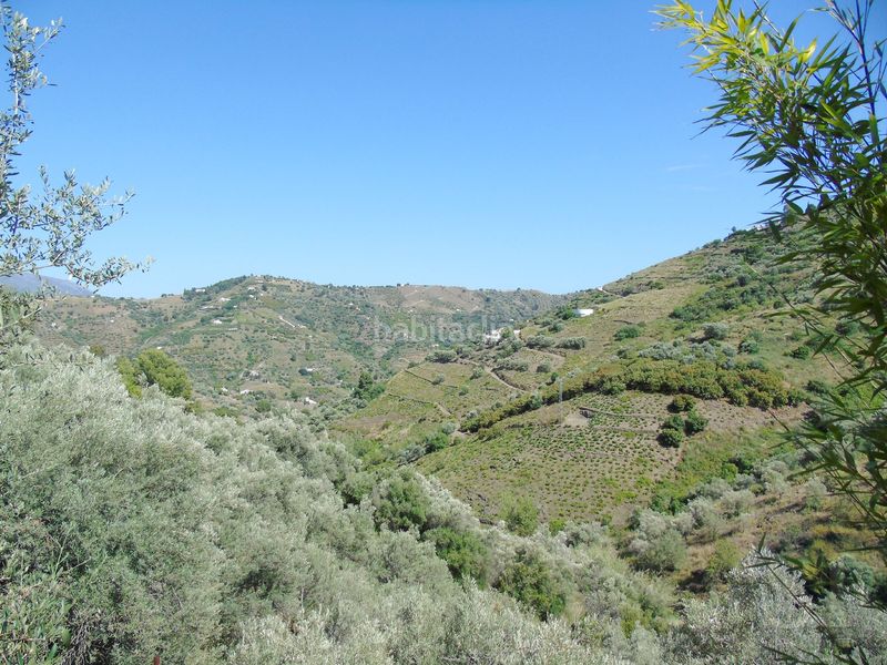 Foto d71a5c48-438f-40e5-a287-2342a8b5dc72. Casa a Cómpeta