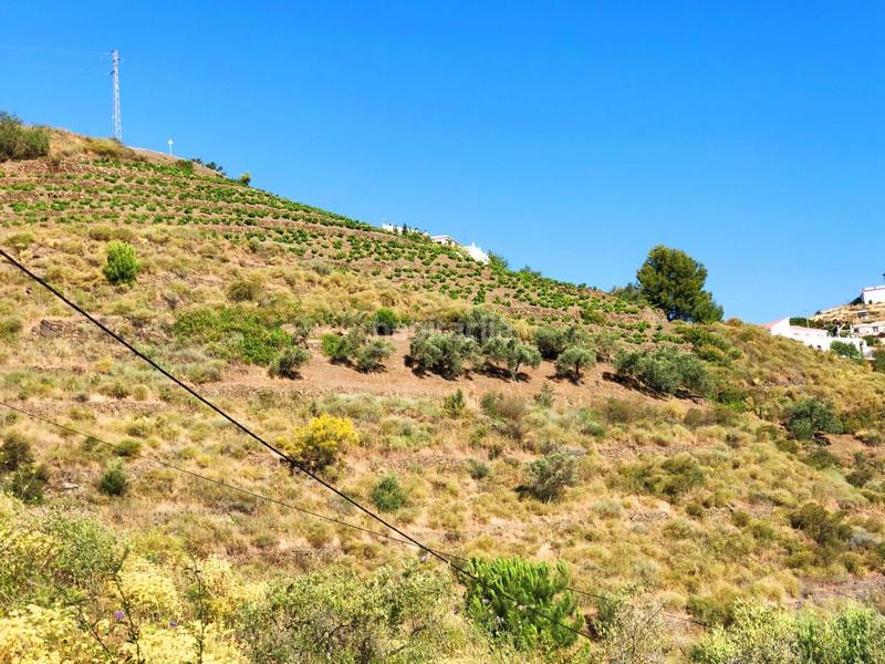 Foto 342dc7e5-3247-43c2-88a9-b89a746329d4. Residential plot in Cómpeta