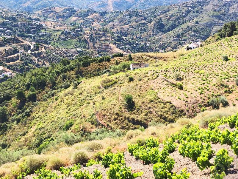 Foto 358852ef-10d0-464d-ac26-79f59bc0543c. Residential plot in Cómpeta