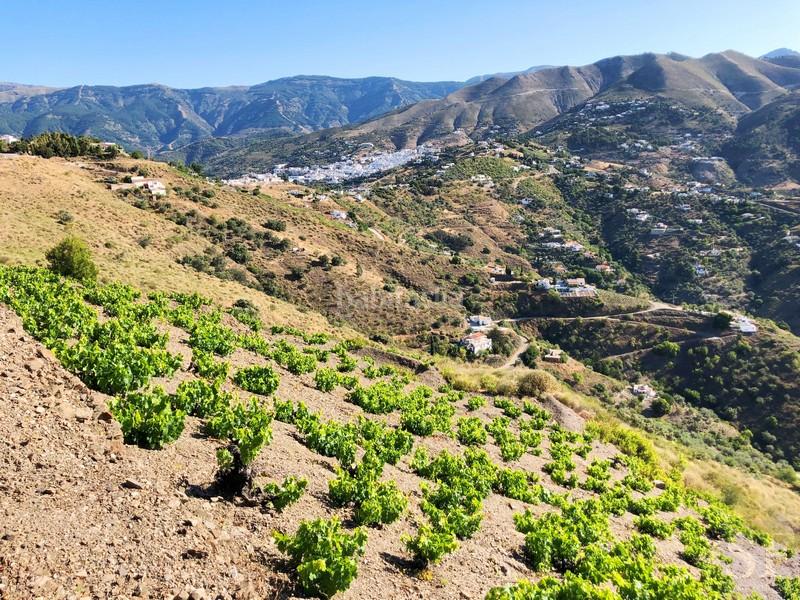 Foto eb6b8895-b9f7-4a47-8feb-eeae62c28f9e. Residential plot in Cómpeta