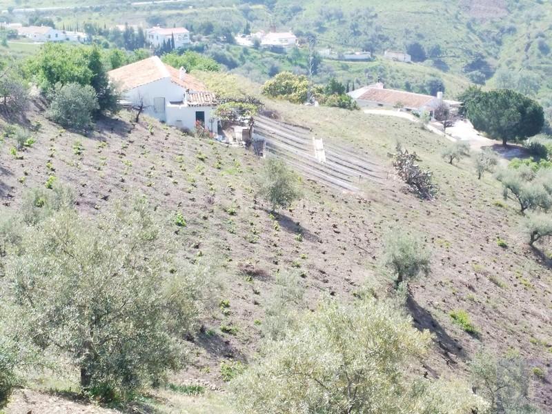 Foto 19feb90d-9a71-4857-9283-48f343833f80. Masía en Cómpeta