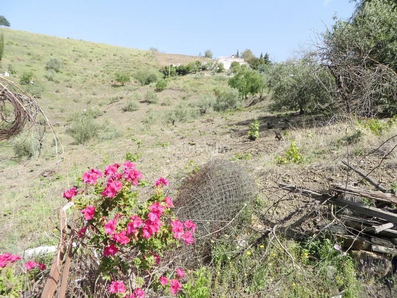 Foto a950639d-2a3d-4ffd-a5f1-406741bacb89. Masía en Cómpeta