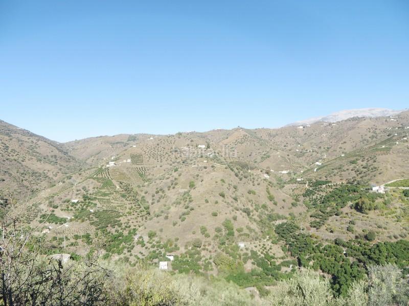 Foto f2fea289-51cb-4e27-b465-4859200c5fec. Casa adossada a Sayalonga