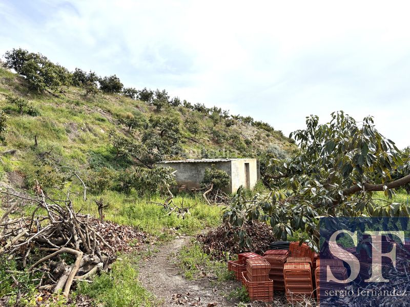 Foto d0c13474-7348-432f-9f7f-286cfcf36514. Casa a Camino Algarrobo - Las Arenas Vélez - Málaga