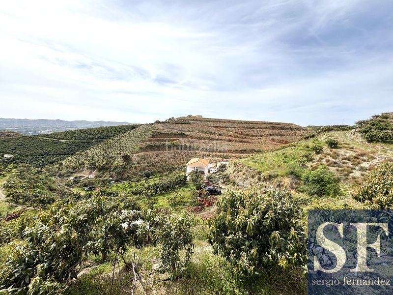 Foto f42e8204-3983-44f4-92cd-65653eaed499. Casa a Camino Algarrobo - Las Arenas Vélez - Málaga