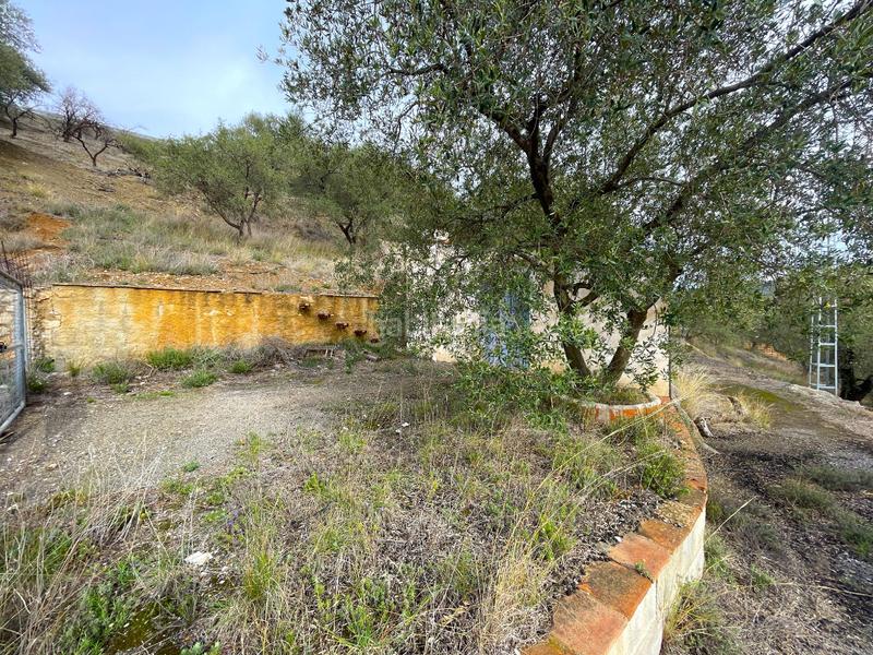 Foto 5da32b7d-026c-4aeb-926d-8a81bebcca9b. Masía en Canillas de Aceituno