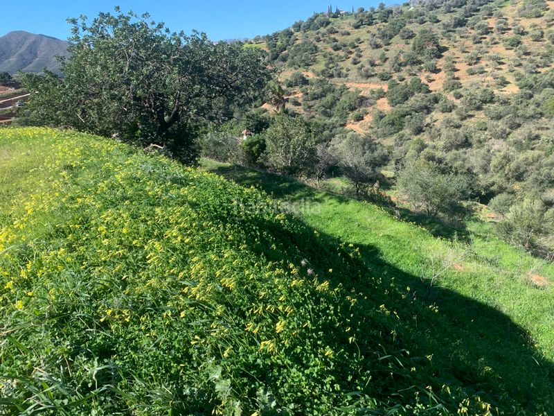 Foto 46f9fe94-c1fc-4582-aa05-473cfbcebe9f. Finca rústica a diseminado atalaya 105 a Valtocado - La Alquería - La Atalaya Mijas