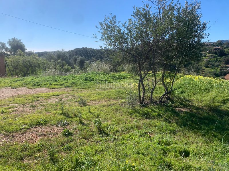 Foto 5554b472-fe22-49f3-8458-eb01bfcde576. Finca rústica a diseminado atalaya 105 a Valtocado - La Alquería - La Atalaya Mijas
