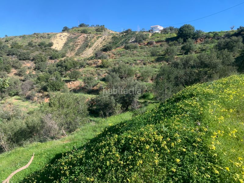Foto 79427d1b-bf93-4507-8b3e-a0f35d27da80. Finca rústica a diseminado atalaya 105 a Valtocado - La Alquería - La Atalaya Mijas