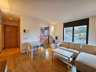 Pis  Carretera d'engolasters. Acogedor apartamento de 1 habitación en venta en engolasters