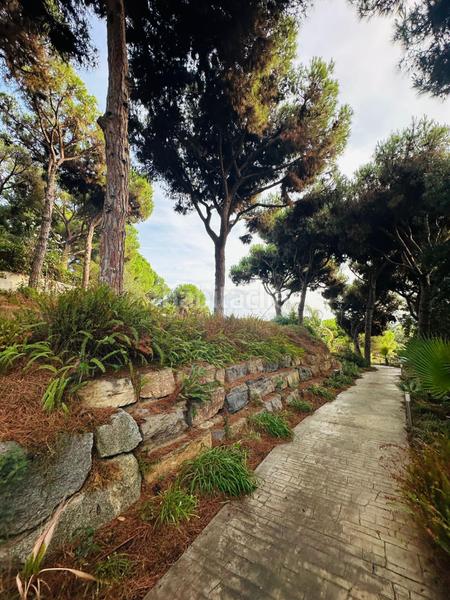 Foto 1292a81a-f62f-42c3-a29b-4add8651ccbf. Residential plot in Rocaferrera Sant Andreu de Llavaneres