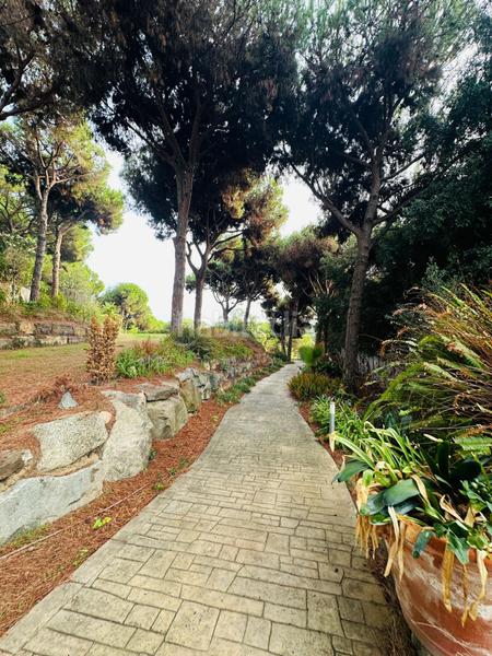 Foto 1d06975c-4a9b-4dd8-af28-9dd6b72a7116. Residential plot in Rocaferrera Sant Andreu de Llavaneres