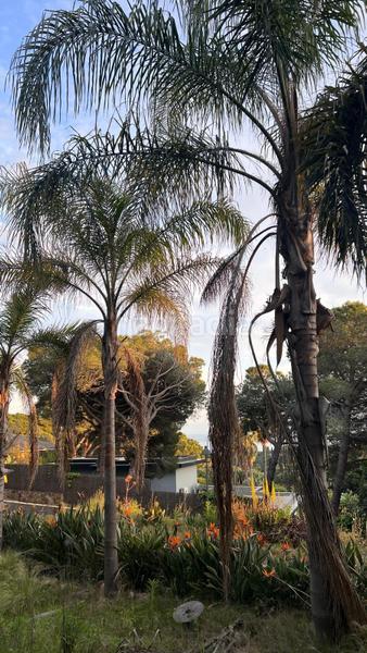 Foto 40792558-ad79-4bf8-bfc5-ab4e36c0e0fb. Residential plot in Rocaferrera Sant Andreu de Llavaneres