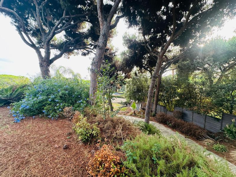 Foto 5588cc24-ec30-42f5-8536-7e5e0a04e7d5. Residential plot in Rocaferrera Sant Andreu de Llavaneres