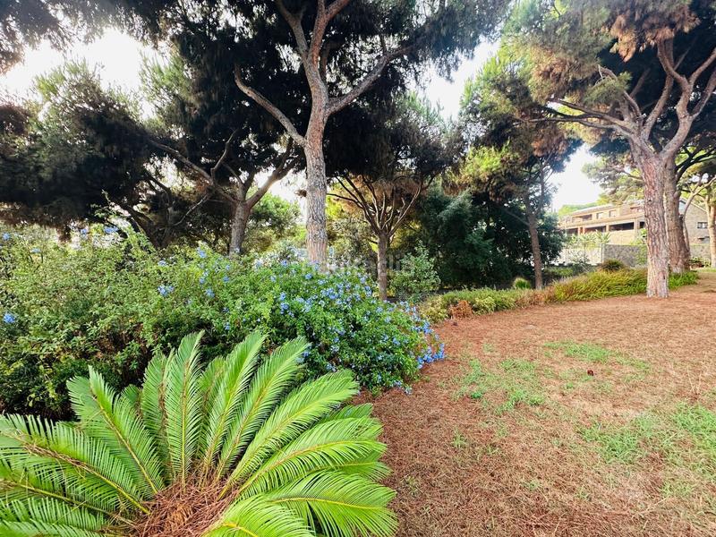 Foto c1de41e5-69e0-4555-9cfd-73760fed1c03. Residential plot in Rocaferrera Sant Andreu de Llavaneres