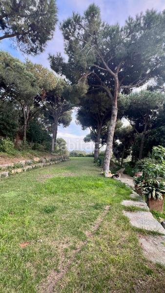 Foto e5cba791-47be-4bed-a0e2-53c55811b66d. Residential plot in Rocaferrera Sant Andreu de Llavaneres