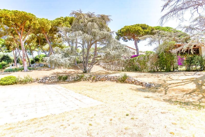 Foto 5dcd22c7-c1b1-4b88-9f47-7911edb3eee7. Masia amb xemeneia calefacció aparcament a El Palau - Escorxador Mataró
