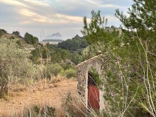 Finca rústica  Partida benimalluny. Terreno rustico 16800m2 (escritura) en la partida dels lleus pos