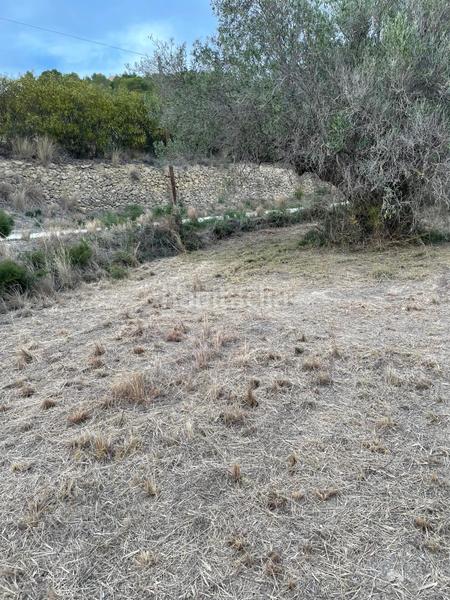 Foto 298559a6-d8c0-4b01-9b02-65ae0eee811d. Finca rústica a Benissa pueblo Benissa