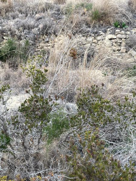 Foto 3a9910d1-fc76-4846-8adb-6e6c84d2fa98. Finca rústica a Benissa pueblo Benissa