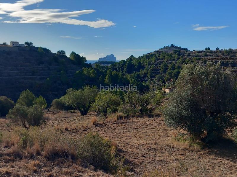 Foto 4267382d-4503-4614-8c37-0cc19a263cfe. Finca rústica a Benissa pueblo Benissa