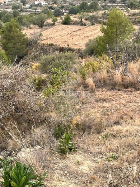 Foto 47cfd09b-2d89-4a7e-9da1-48665d2435ba. Finca rústica a Benissa pueblo Benissa