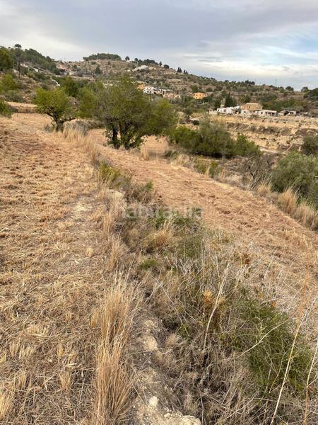Foto c5a39f9d-4f6d-46bd-a55a-10acb7605fda. Finca rústica a Benissa pueblo Benissa