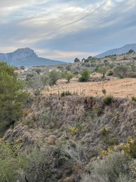Foto c84cdcec-f491-488f-b534-257a0c91307f. Finca rústica a Benissa pueblo Benissa