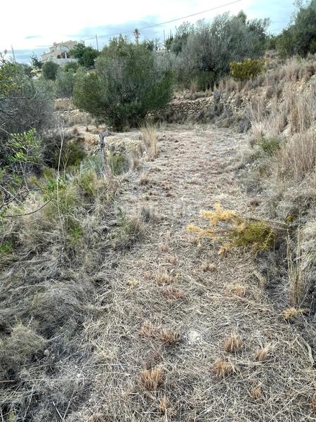 Foto d98bd144-266d-4d9c-857e-65346f879d4d. Finca rústica a Benissa pueblo Benissa