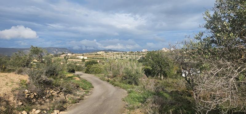 Foto 5f04e072-8669-4afe-a5a9-fc6ac2a04aa8. Rural plot in Teulada