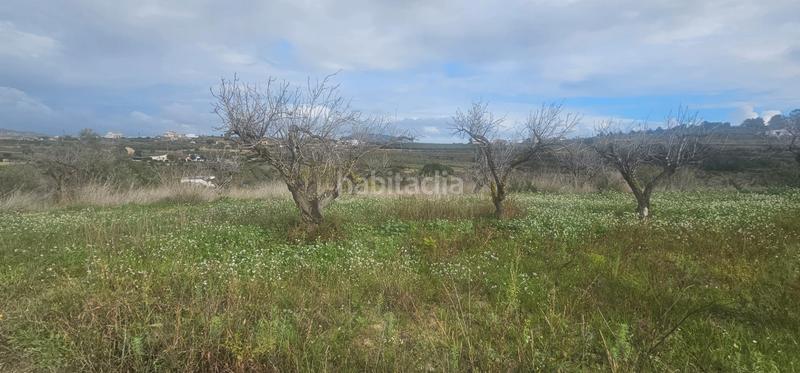 Foto 88ff7122-faa7-4ccf-8afe-e0bb798c912c. Rural plot in Teulada