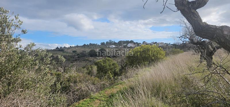 Foto dade286b-4143-4caa-bf62-9a025fc6bb33. Rural plot in Teulada