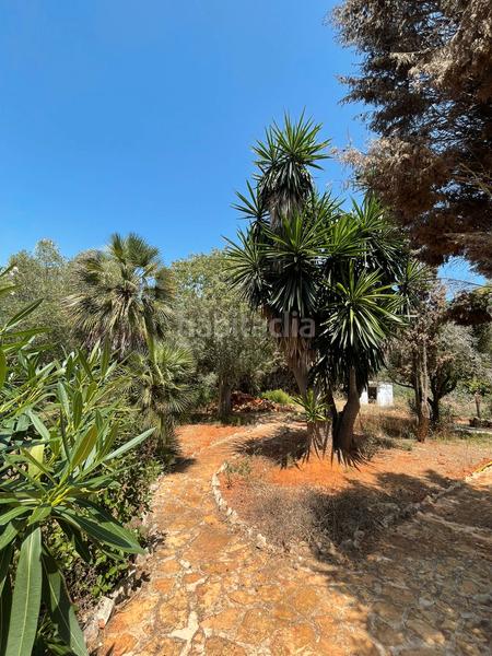 Foto 447c923a-cd12-45cb-a13f-beb3cd1ef68f. Mas avec cheminée chauffage parking piscine dans La Granadella - Costa Nova Xàbia