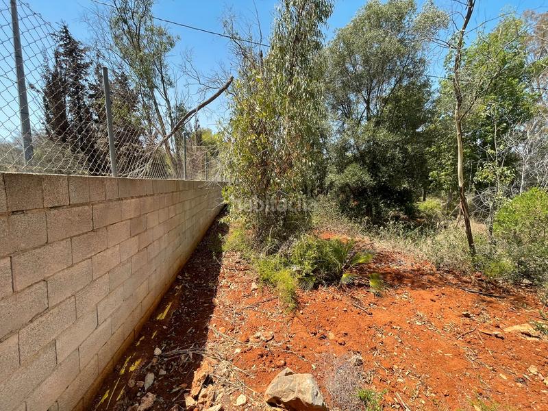 Foto f441604d-dccb-4845-bcb7-9318fcf06857. Mas avec cheminée chauffage parking piscine dans La Granadella - Costa Nova Xàbia