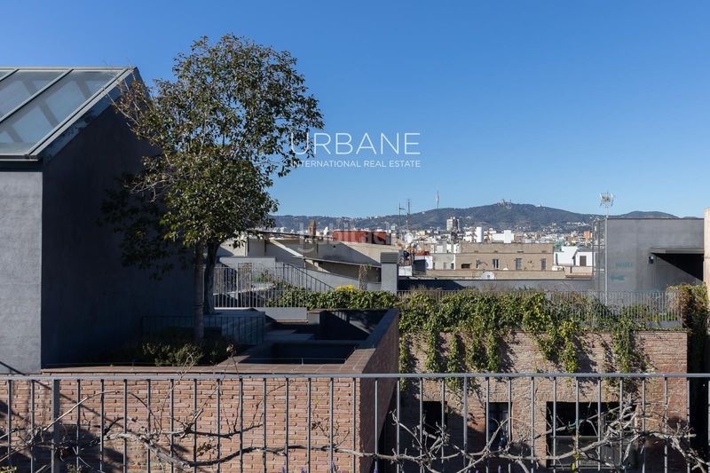 Foto c5b6bb8d-53e2-4ed6-8ea5-86618a5a362b. Pis amb calefacció piscina a Raval Barcelona