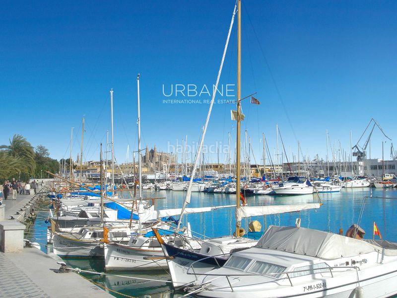 Foto 07185a71-b9f1-4ed3-b04d-cbea467aad0f. Pis a Pere Garau Palma de Mallorca