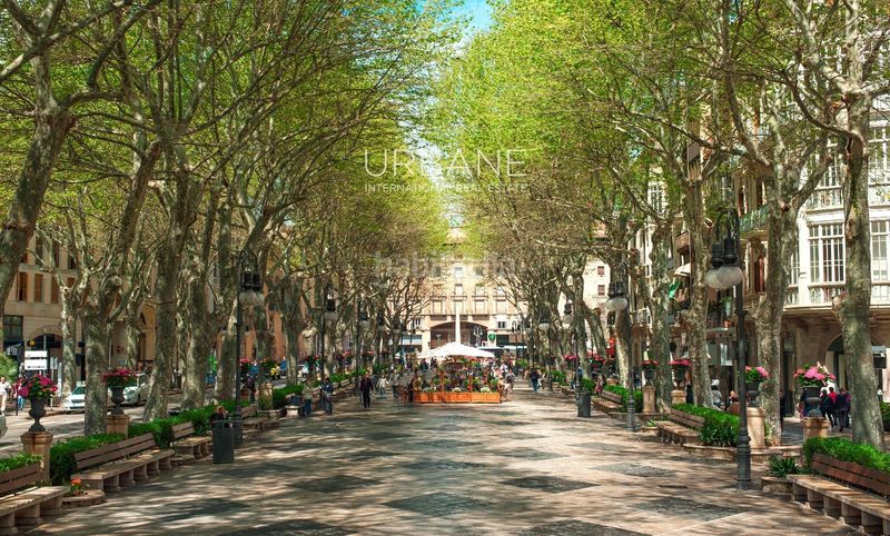 Foto 8be42c1c-3874-4655-923a-f160f63400a9. Pis a Pere Garau Palma de Mallorca