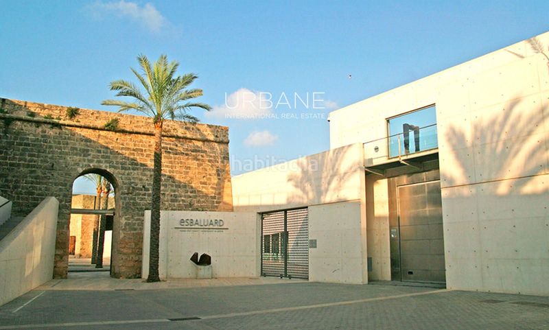 Foto e1bec56e-f9d2-44e8-8c11-9eaf5d064f62. Pis a Pere Garau Palma de Mallorca