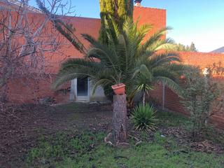 Maison à Yuncos. Mas que hipotecas vende casa baja con inquilino en contrato en v