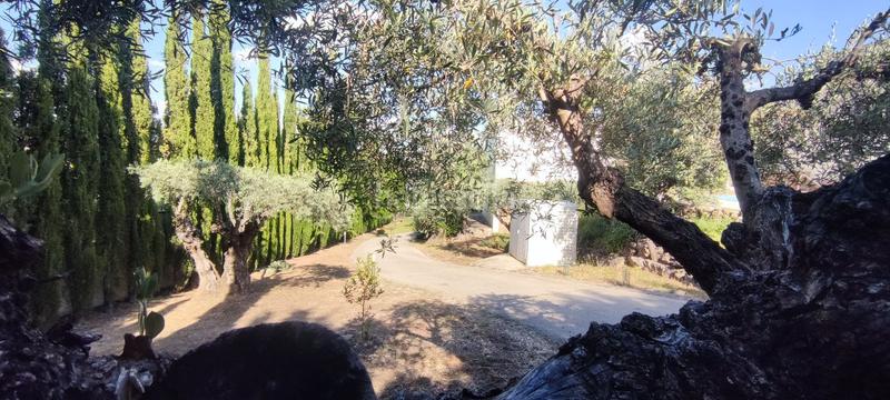 Foto 18f078af-9537-47b9-a7f5-5b841a034815. Chalet con riscaldamento piscina in Los Cigarrales-La Bastida Toledo