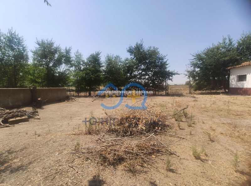 Foto 07d382e9-fa02-4c49-b28c-e2ff79c60631. Terreny residencial a señorío de Illescas Illescas