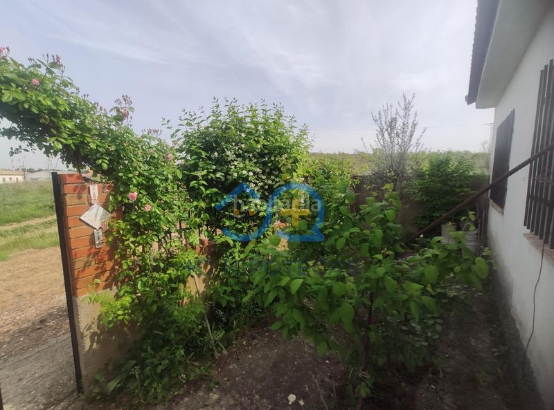 Foto 63a9a178-6d8e-4aba-9d8e-c318b917a931. Casa amb aparcament a Camarenilla