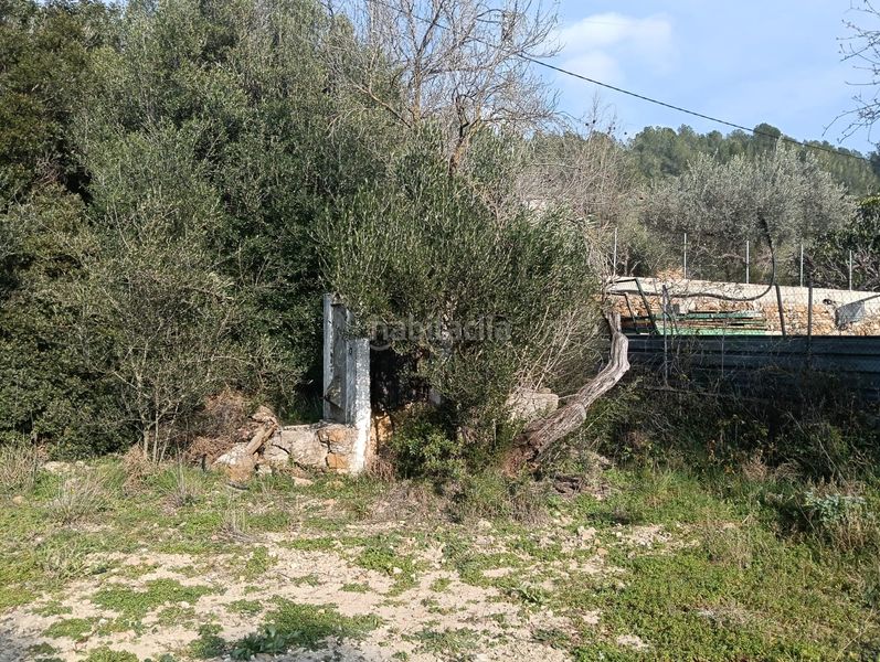 Foto 31a3dfcf-c5cd-4dc3-a6cf-6f074cab1dbd. Masia a Vall d´Alba