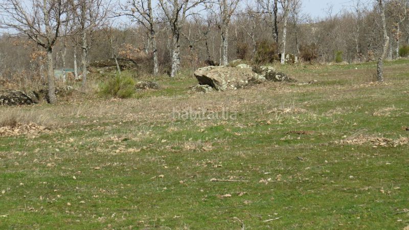 Foto 25bd153f-a06a-4f64-b1c2-7b25a78348a7. Finca rústica a Sotosalbos