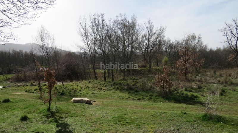 Foto 709b87ff-abc2-4a0e-a27f-f0047c01e264. Finca rústica a Sotosalbos