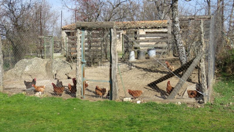 Foto 70ce2e65-325e-42c0-ba91-dca873ae180c. Finca rústica a Sotosalbos