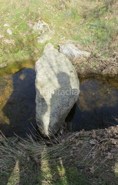 Foto 7bab77a4-670d-4b2e-b26d-d8bfadd02fc3. Finca rústica a Sotosalbos